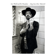 Sing Low cover for WordPress (2017_03_06 08_18_25 UTC)